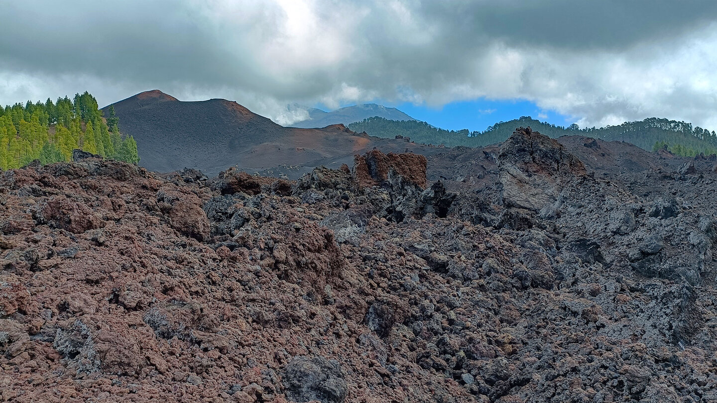 Ausblick über die Lavafelder auf den Vulkankegel des Chinyero