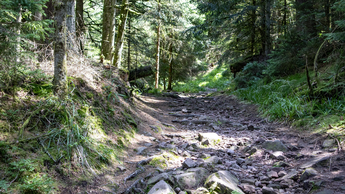der felsige Wanderweg zum Glaswaldsee im Schwarzwald verlangt Trittsicherheit