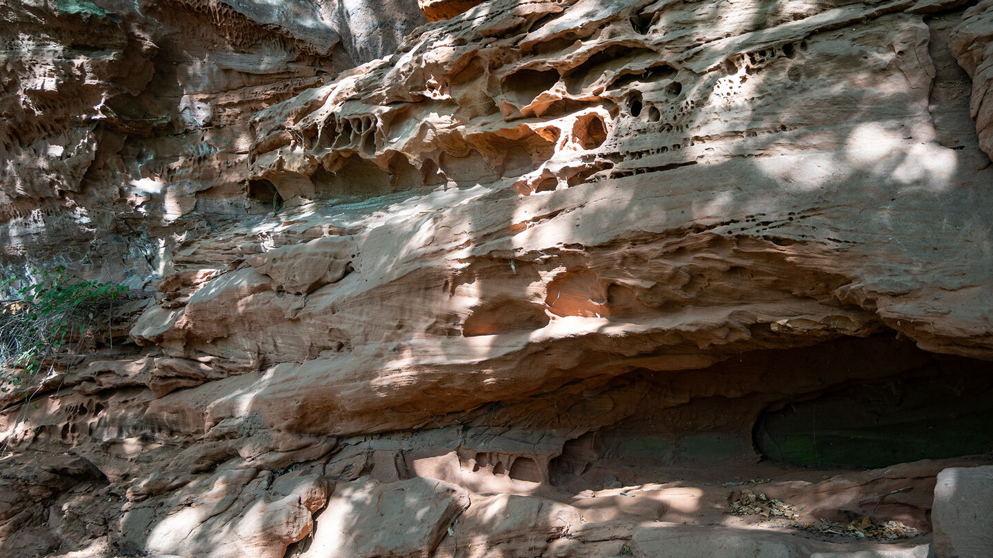 Erosionsspuren im Buntsandstein des Burgfelsens der Falkenburg Erosion im Buntsandstein des Burgfelsens der Falkenburg
