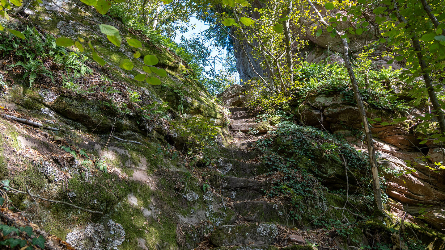 Felstreppe bei der Ruine Falkenburg Felstreppe bei der Ruine Falkenburg