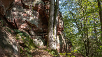 Wanderweg am Burgfels der Falkenburg