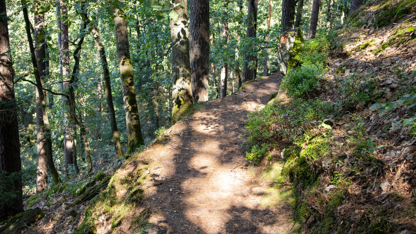 idyllischer Wanderweg entlang des Westlichen Schützenfels idyllischer Wanderweg entlang des Westlichen Schützenfels
