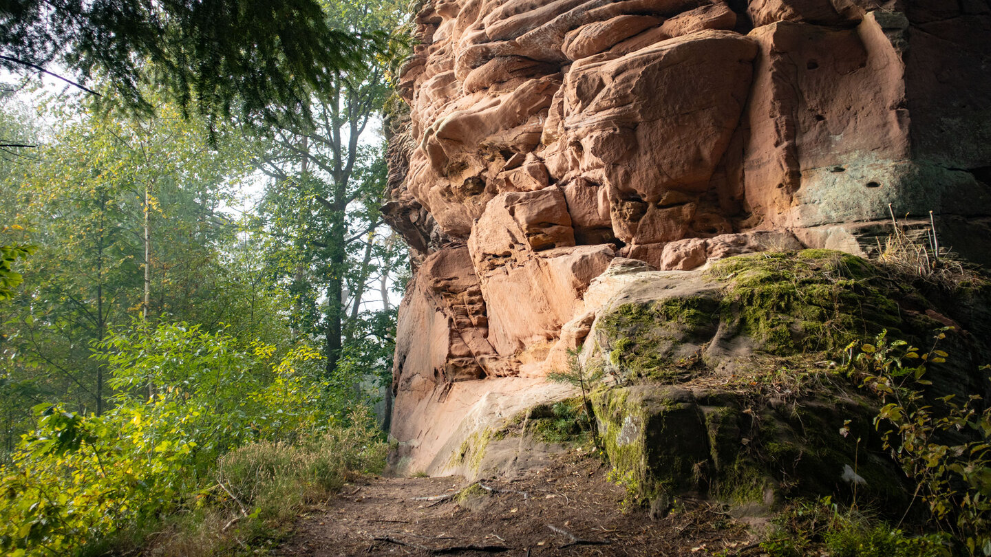 der Wanderweg am Großen Zimmerfels der Wanderweg am Großen Zimmerfels