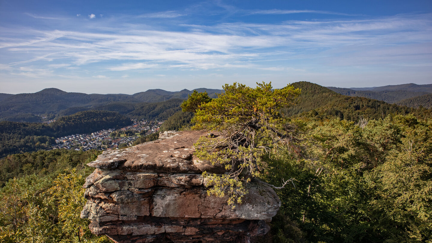 Ausblick vom Römerturm auf Dahn und den Pfälzerwald