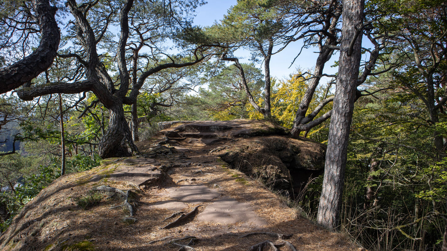 Wanderroute über einen Felskamm zum Jungfernsprung