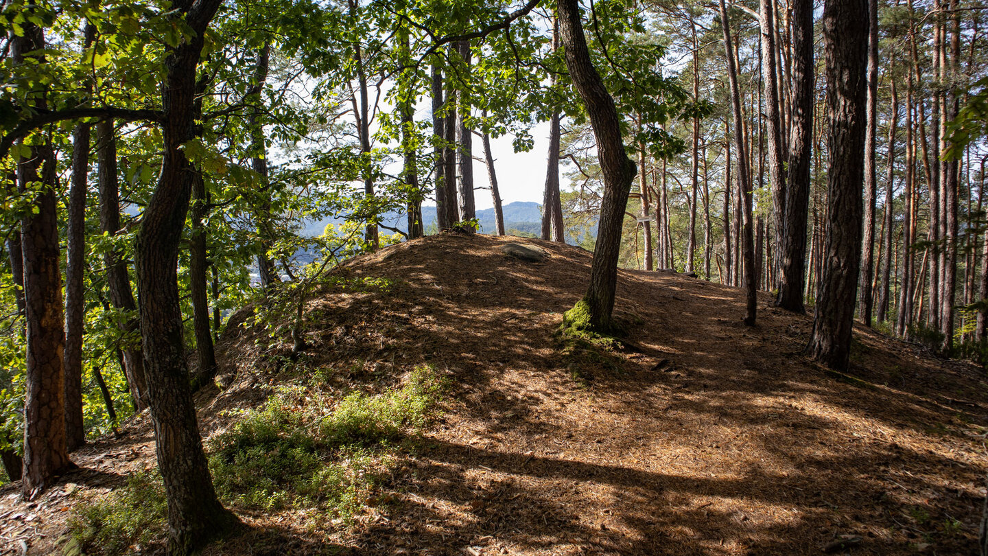 der Wanderweg am Lachberg der Wanderweg am Lachberg