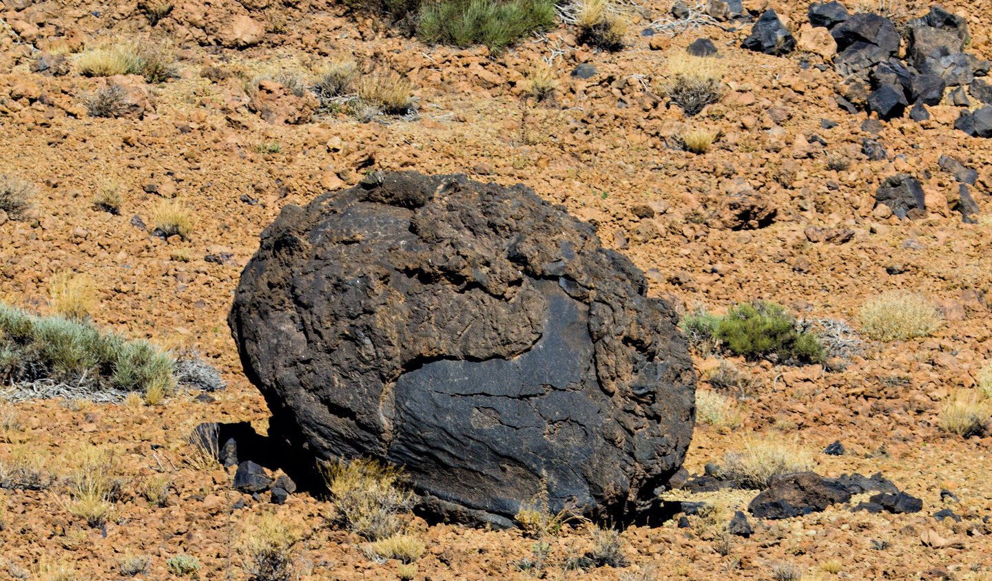 Lavakugel am Wegesrand - ein sogenanntes Teide-Ei