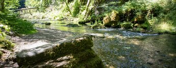 Bachlauf der Gauchach am Genießerpfad Gauchachschlucht