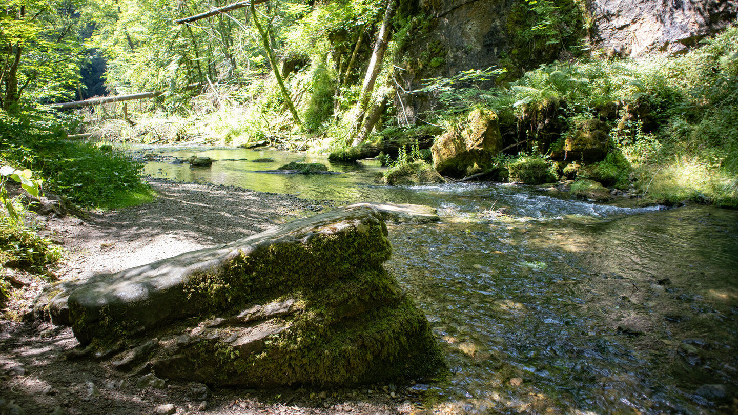 Bachlauf der Gauchach am Genießerpfad Gauchachschlucht