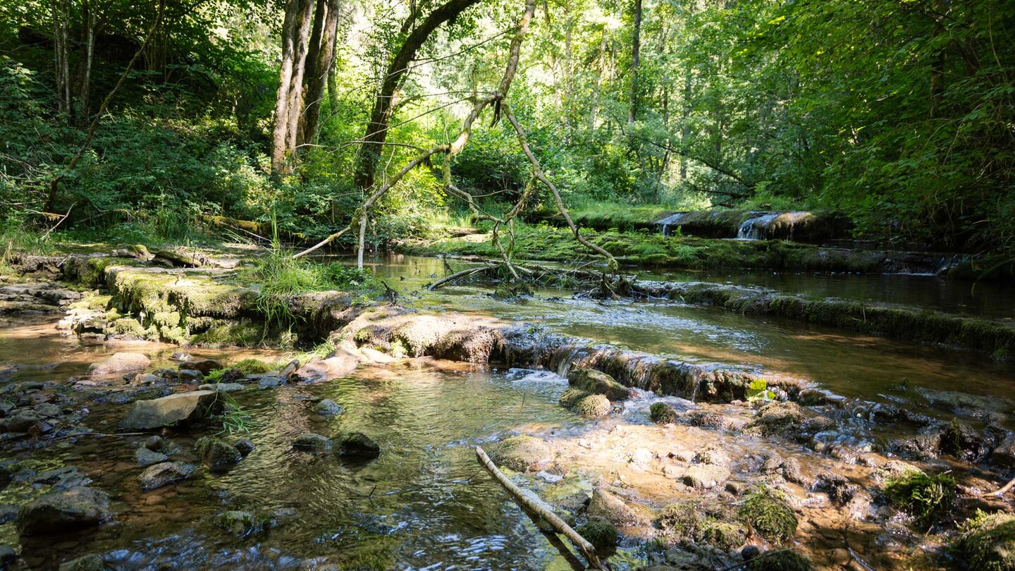 Bachlauf der Gauchach im Südschwarzwald