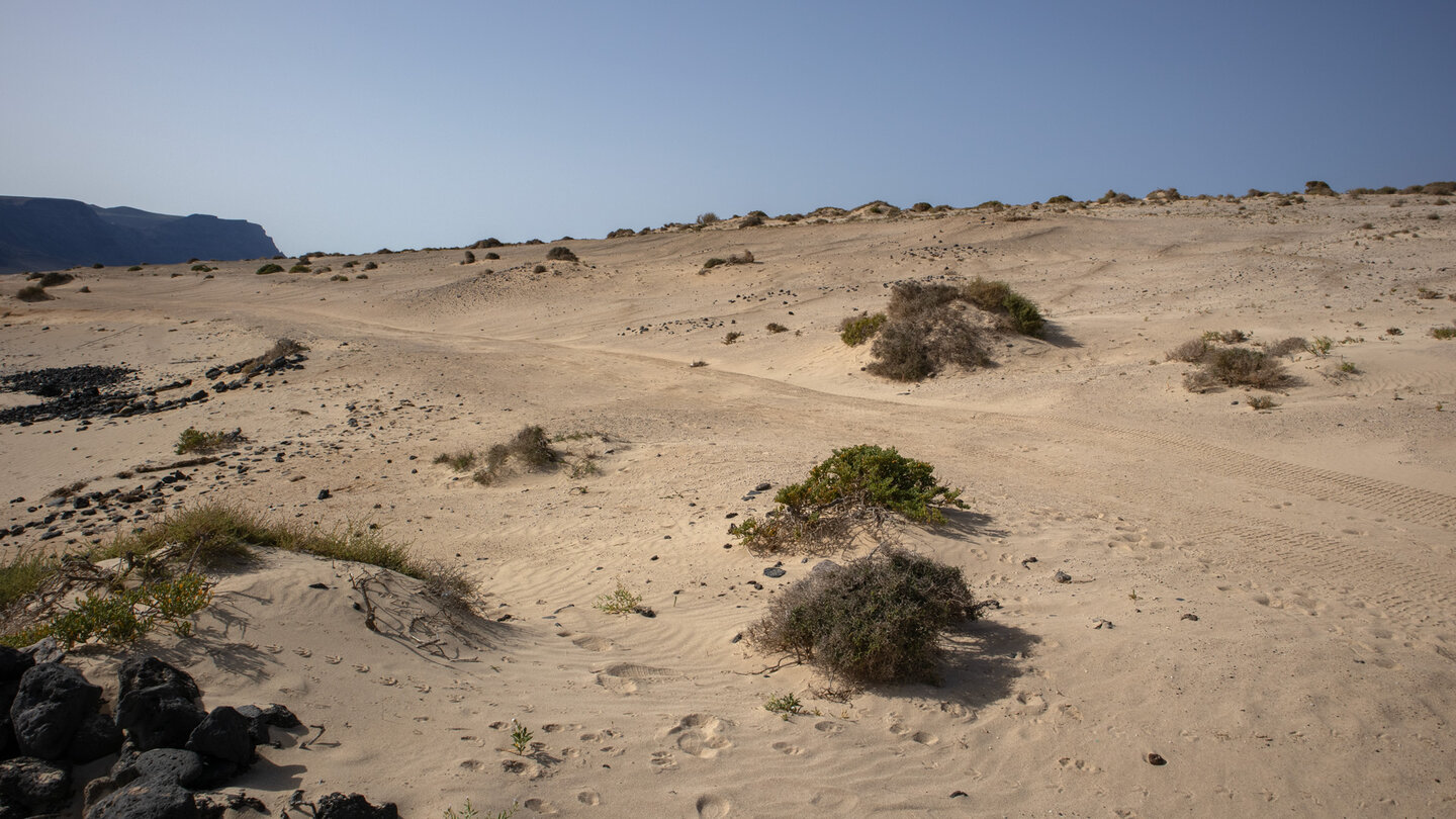die mit Sand bedeckte Landschaft der Insel La Graciosa