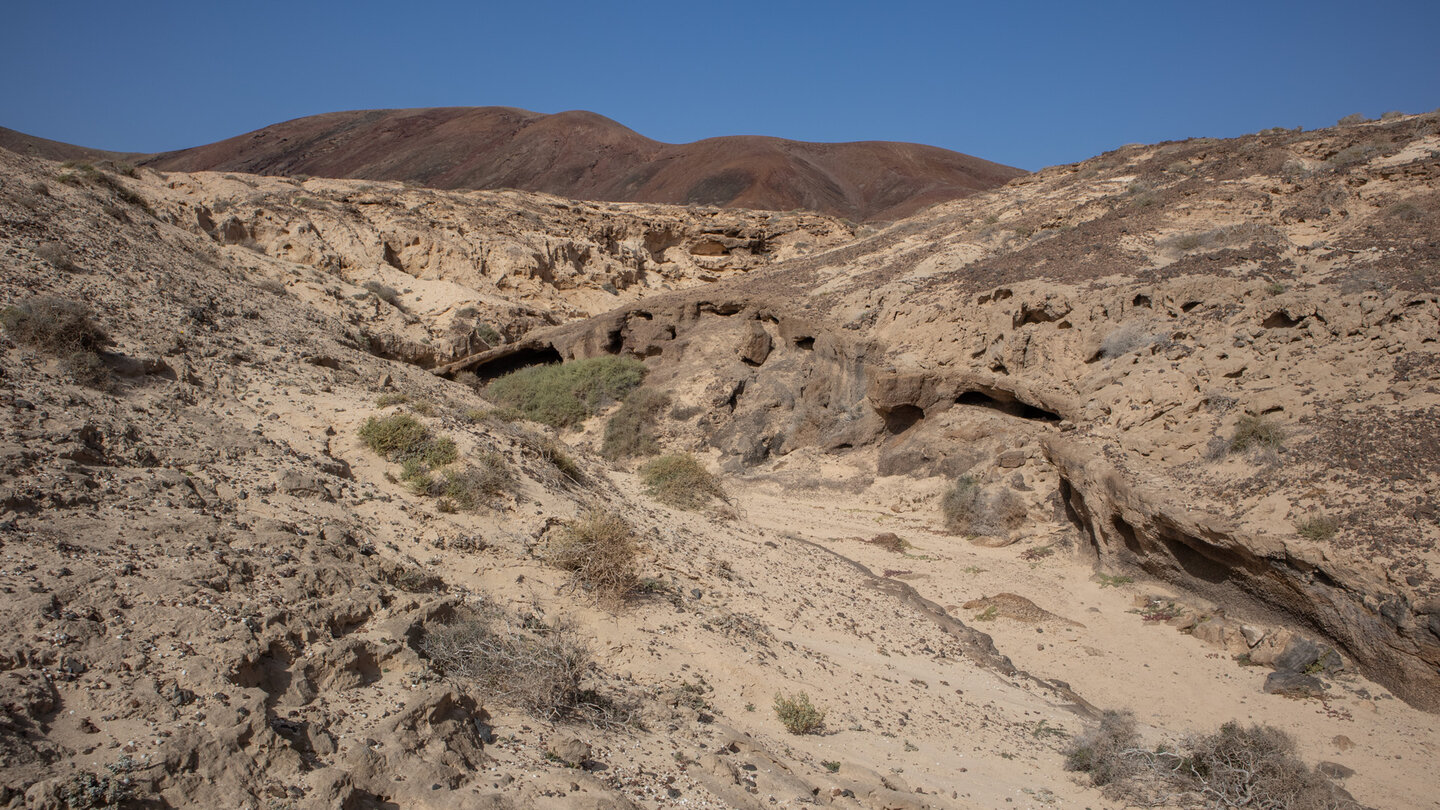 Wanderweg durch die Schlucht Barranco de los Conejos