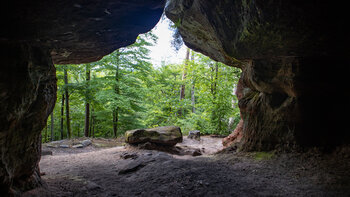 Blick aus der Felsenkammer am Hohlen Felsen