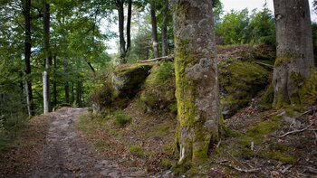 der Altschlosspfad beim Hohlen Felsen