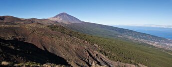 Blick von La Tarta auf den Teide und das Orortava-Tal