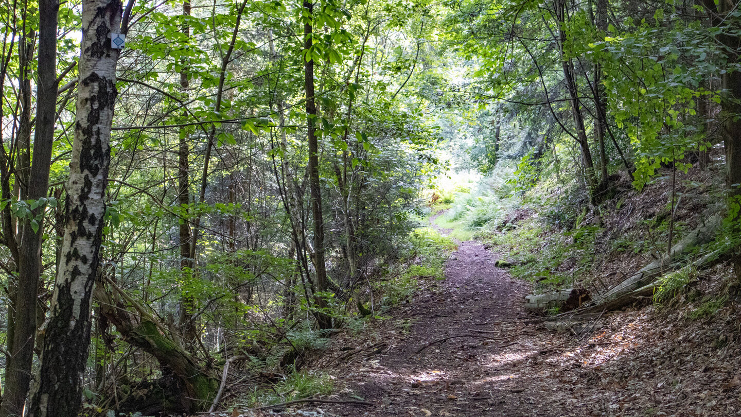 Wanderweg Richtung Ebersteinburg