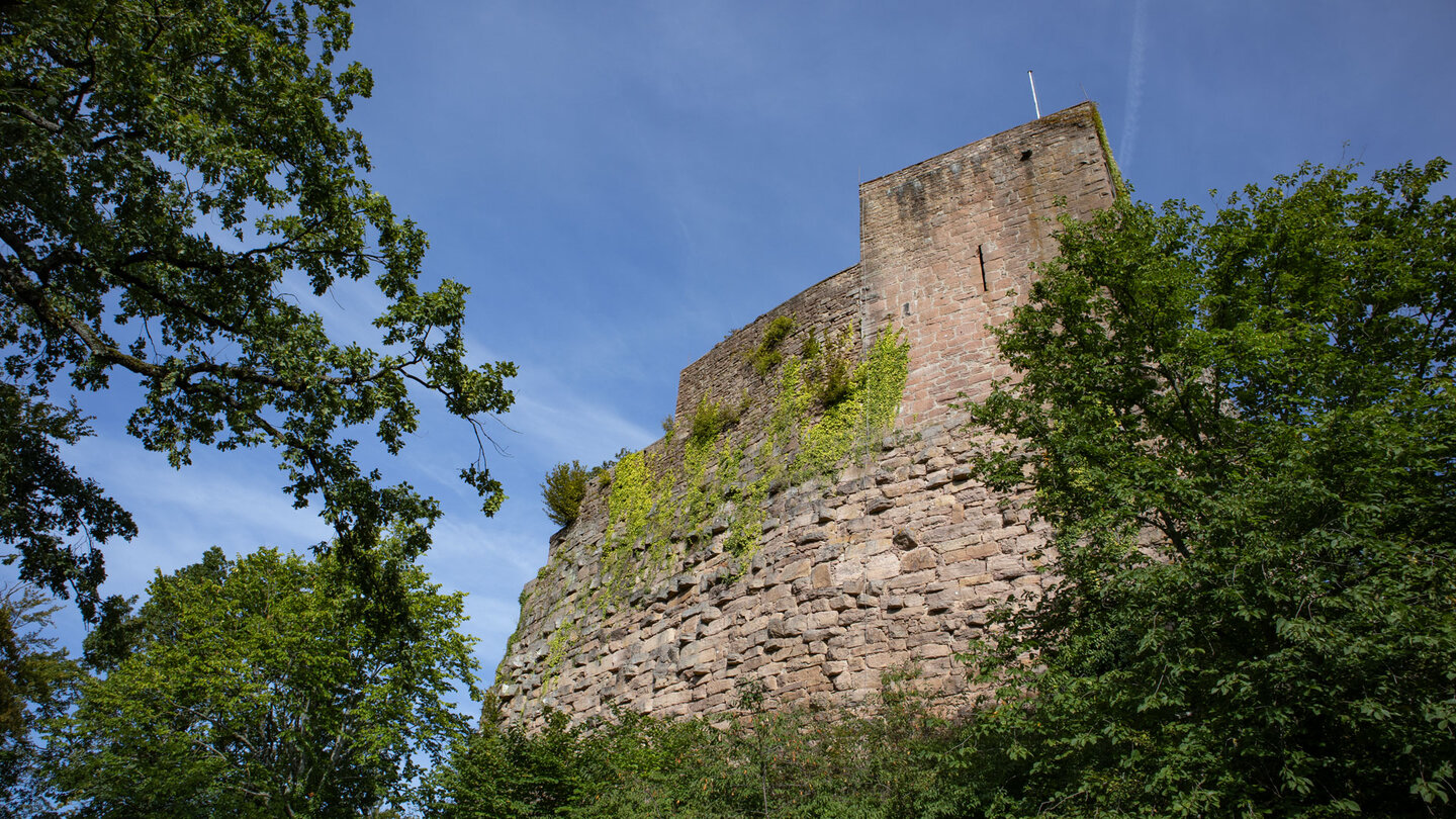 die Burg Alt-Eberstein liegt direkt an der Murgleiter