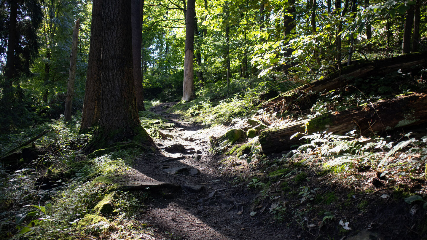 die Murgleiter führt auf einem malerischen Wanderpfad auf den 660 Meter hohen Merkur