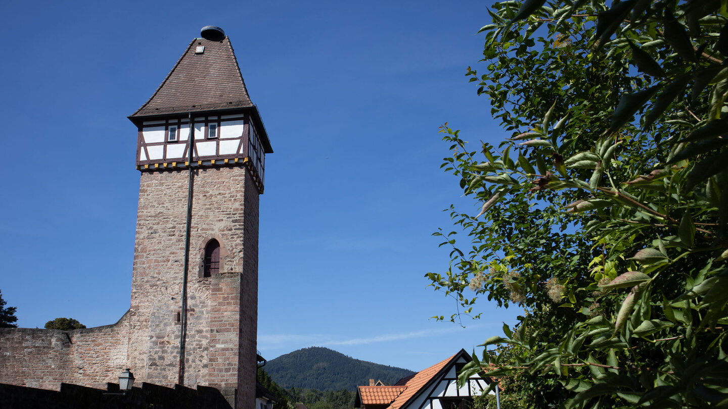 der Storchenturm in Gernsbach