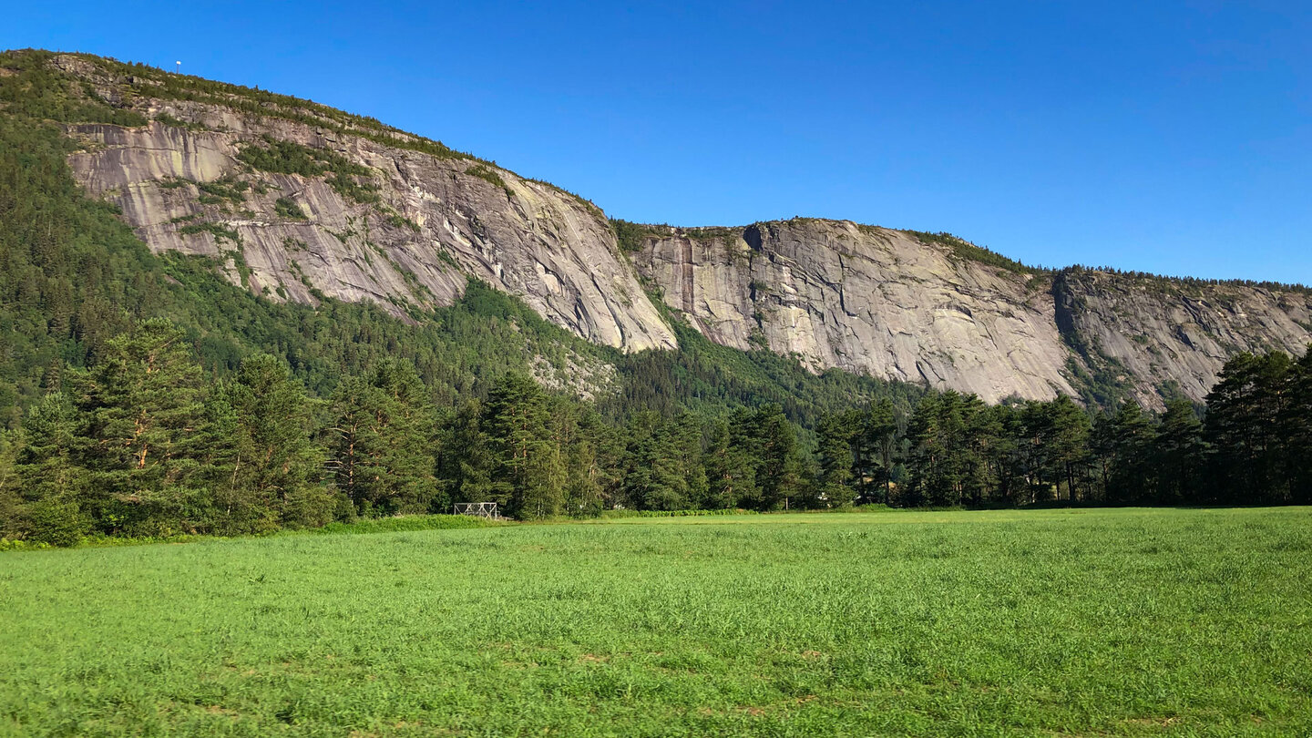 weite Wälder und Wiesen findet man im Setesdal
