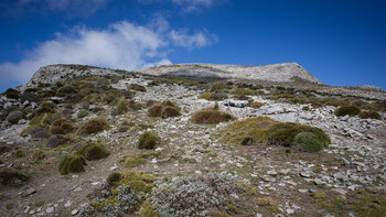 Weg am Pico La Maroma in Andalusien