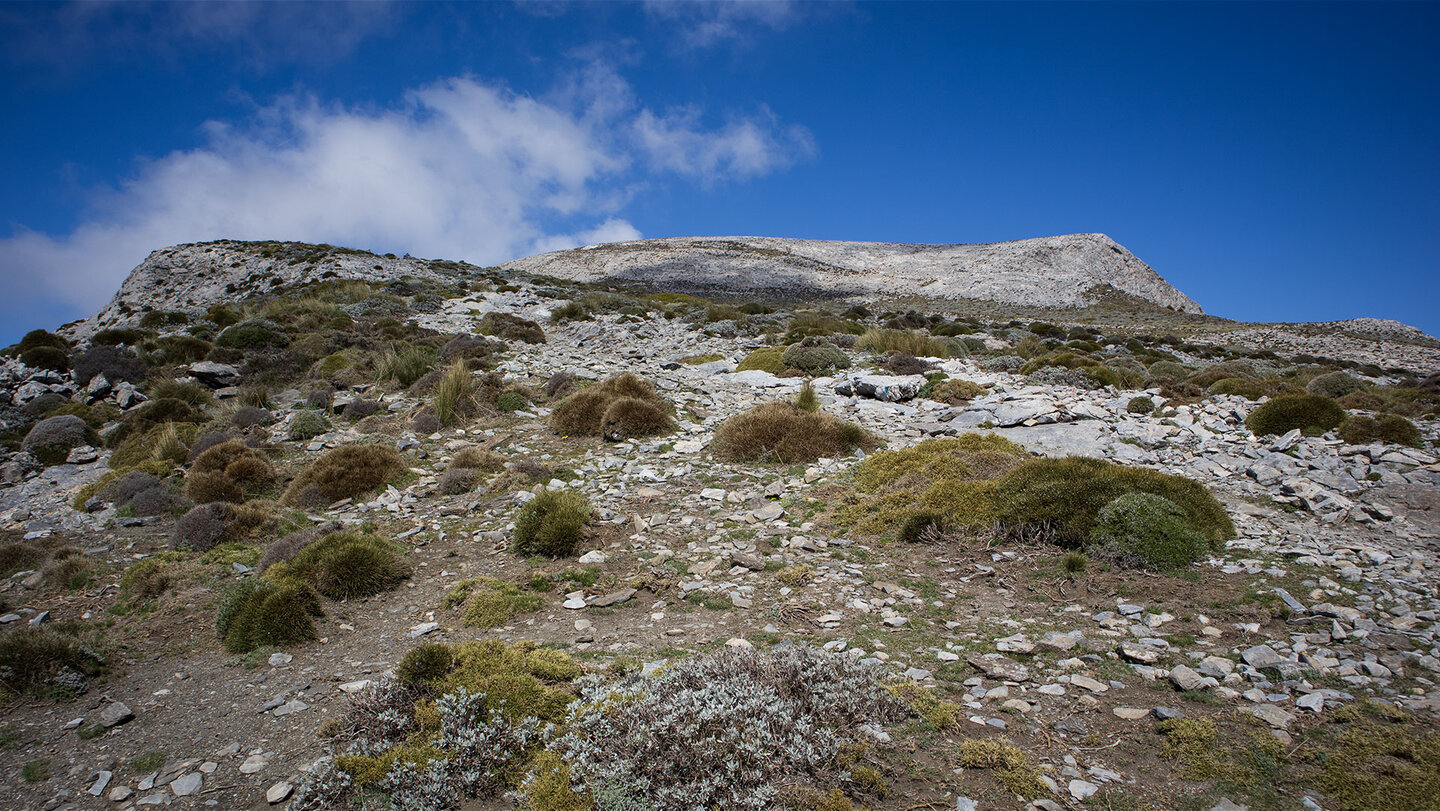 Weg am Pico La Maroma in Andalusien Weg am Pico La Maroma in Andalusien