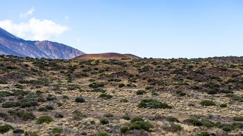 Ausblick auf den Krater des Montaña Negra vor der Flanke des Teide