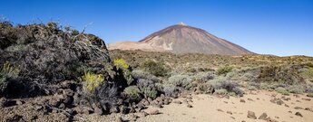 Ausblick auf den Teide mit Flankenvulkan Montaña Blanca vom Wanderweg