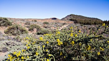 Blick auf den Wanderfad mit El Cabézon und La Fortaleza