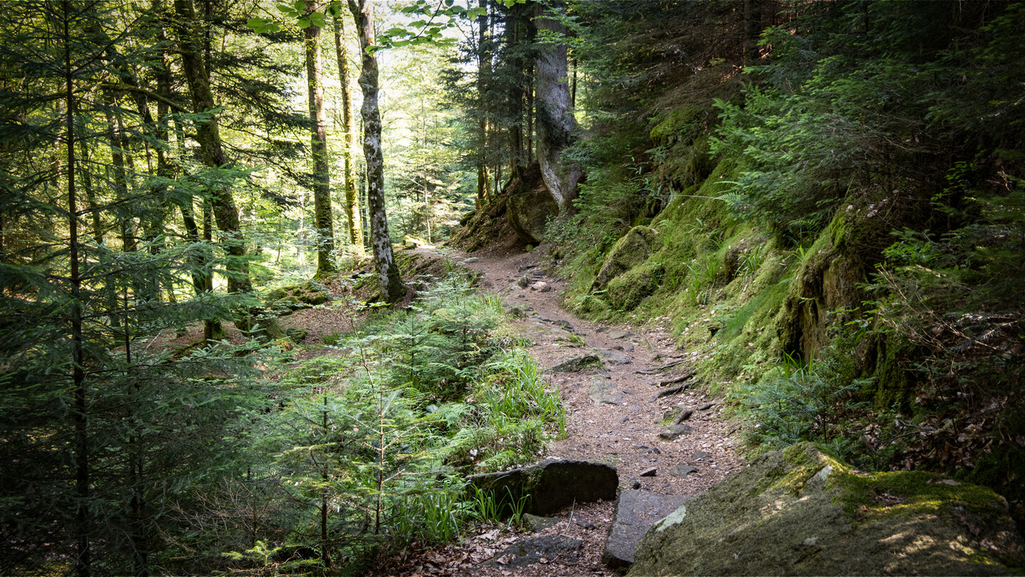 Wanderpfad durch Eyachtal