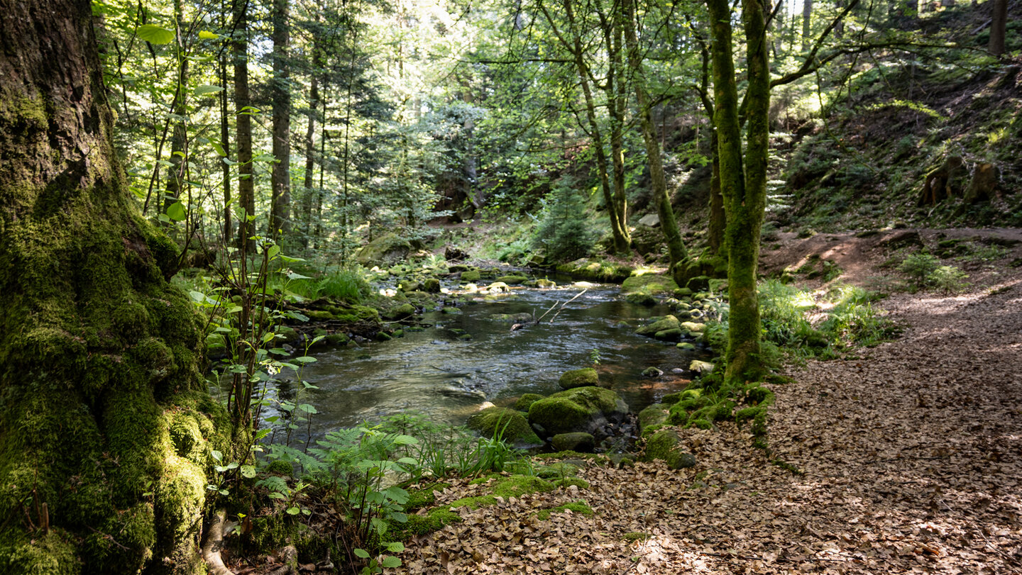 Wasserwegele im Eyachtal