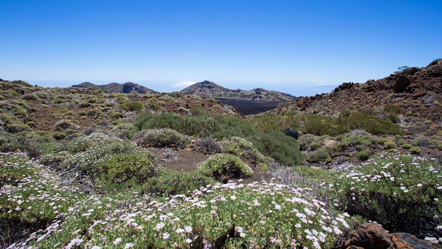 der Wanderweg führt durch Hochgebirgsvegetation mit Blick auf die Caldera Randberge