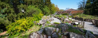 Außenanlage des Botanischen Gartens Heidelberg