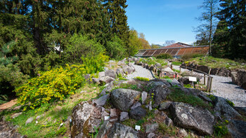 Außenanlage des Botanischen Gartens Heidelberg
