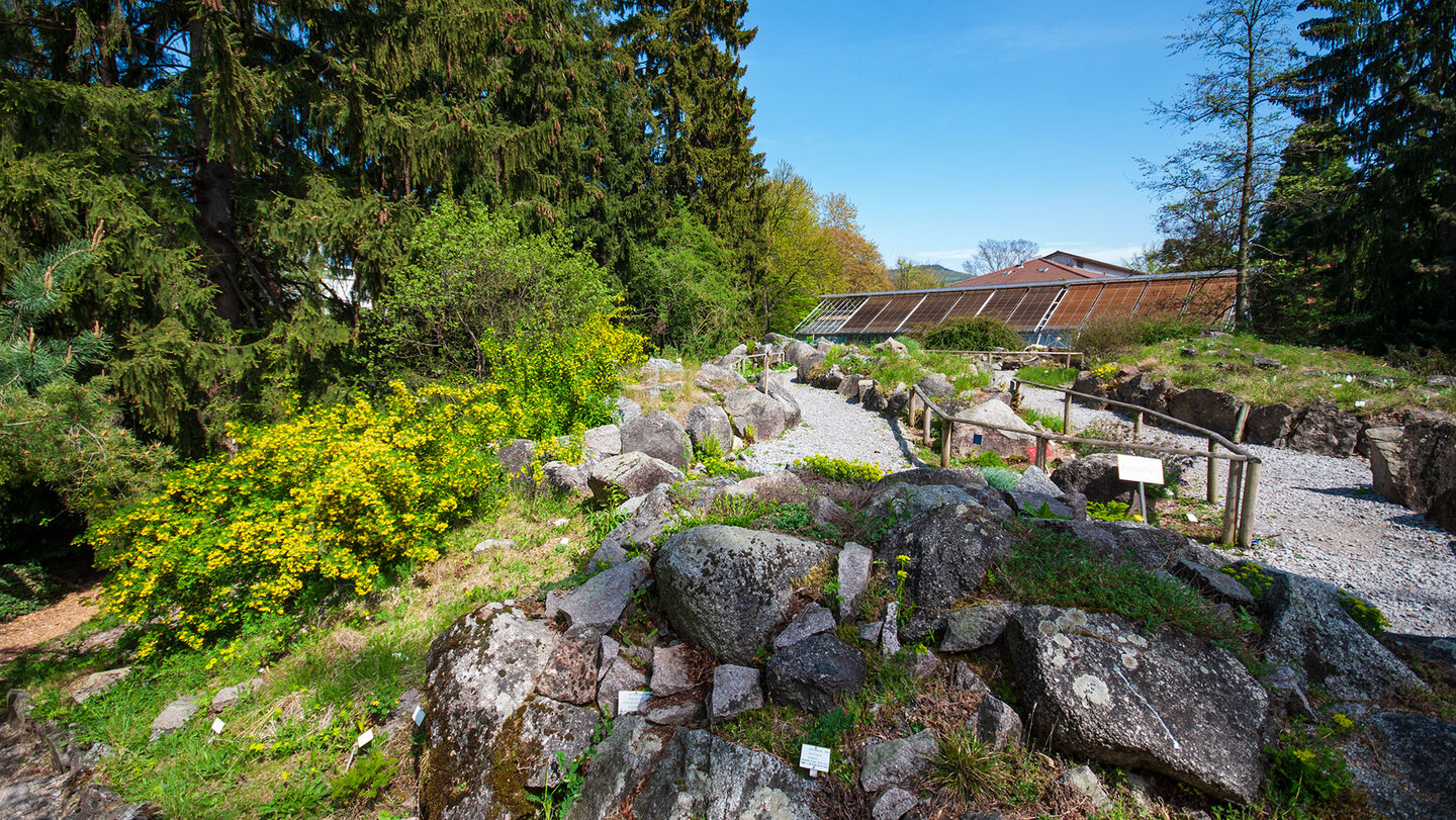 Außenanlage des Botanischen Gartens der Universität Heidelberg Außenanlage des Botanischen Gartens Heidelberg