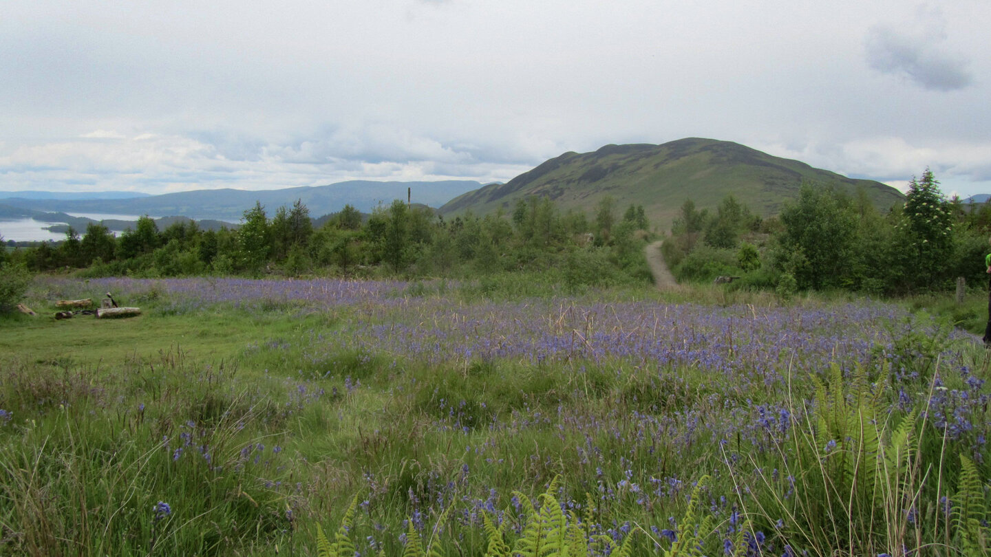 Conic Hill am Loch Lomond
