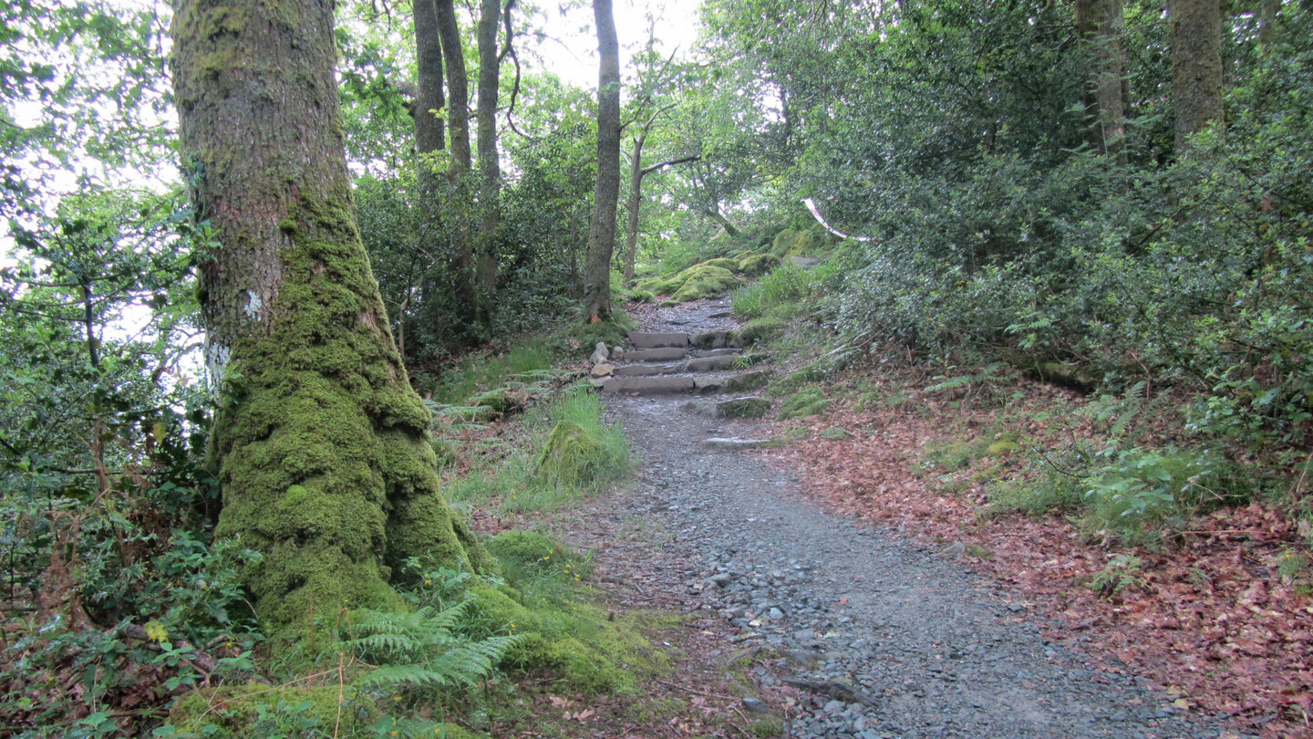 West Highland Way Richtung Rowardennan Lodge