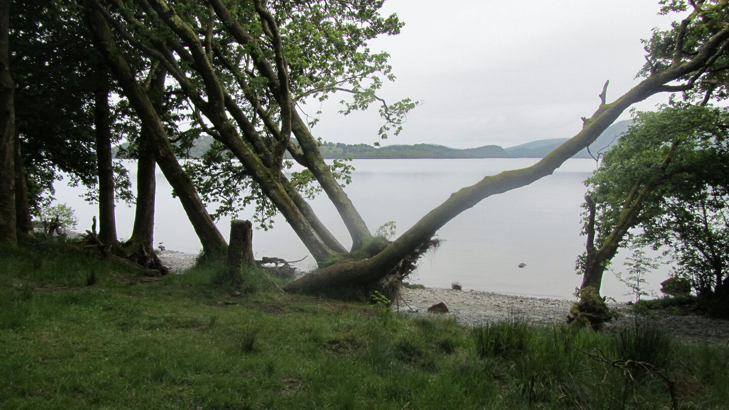 Loch Lomond