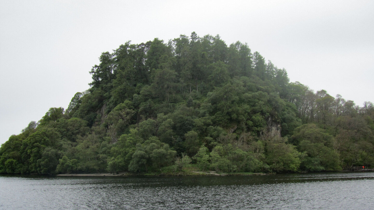 Insel Inchcailloch im Loch Lomond vor Balmaha