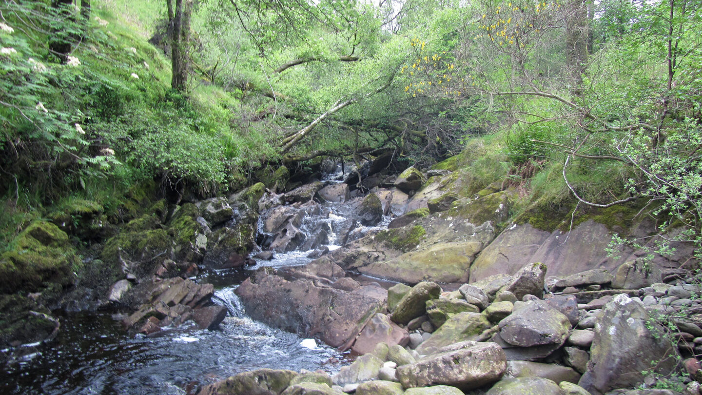Bachlauf am Wanderweg