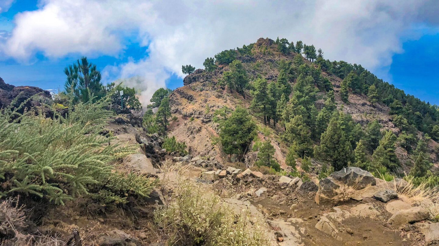 Wanderroute durch Kiefernwaldgebiete