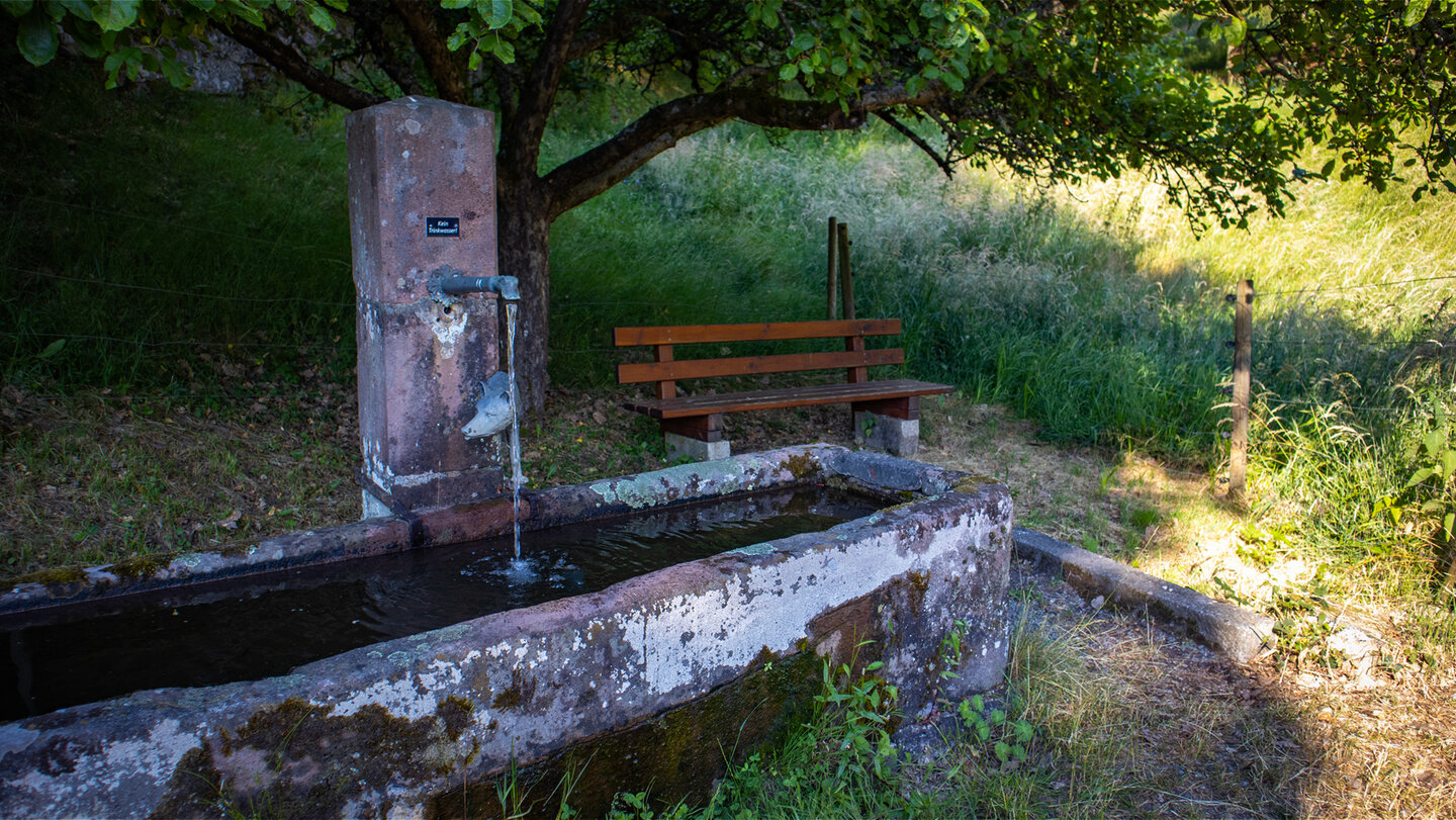 Rastplatz am Wolfsbrunnen im Murgtal