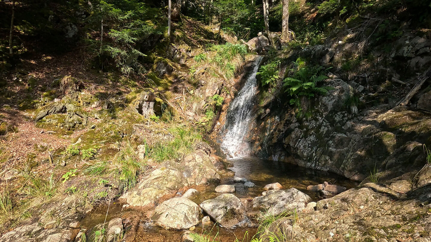 der Hinterbockloch-Bach entspringt im Grand-Ventron-Massiv auf rund 1.060 Metern Höhe der Hinterbockloch-Bach entspringt im Grand-Ventron-Massiv