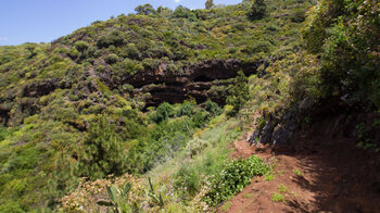 wandern auf dem GR 130 in La Palma - Cuevas de Buracas nach Las Tricias