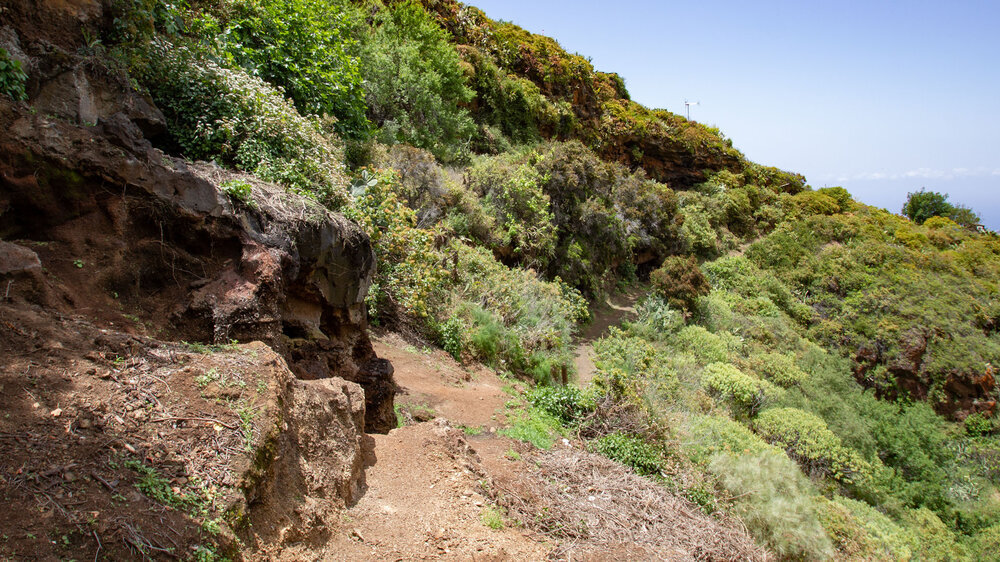 Wanderpfad nach Las Tricas auf dem Wanderweg GR 130 auf La Palma