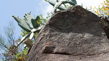 Steinritzzeichnungen der Benahoaritas an der Route des GR 130 auf La Palma