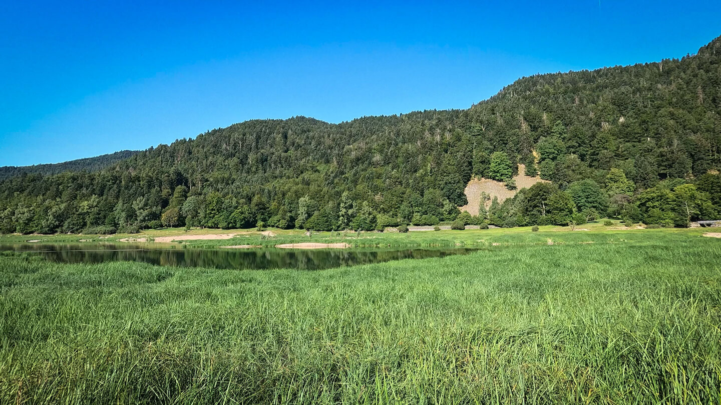 am Ufer des Lac de Kruth-Wildenstein wächst eine üppige Vegetation Ufer des Lac de Kruth-Wildenstein mit üppiger Vegetation