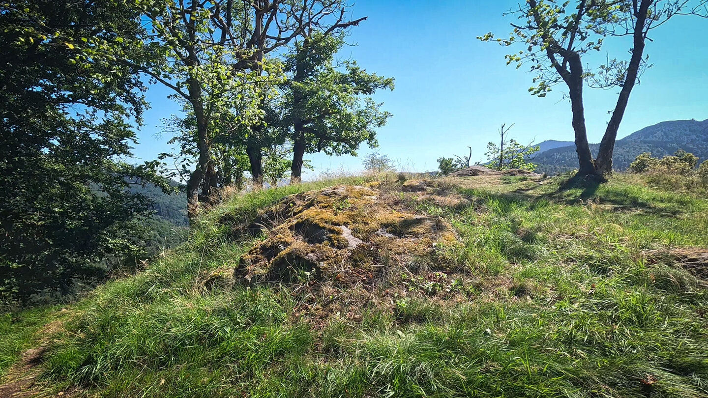 Felsen und einzelne Bäume auf dem Schlossberg von Château de Wildenstein Felsen und Bäume auf dem Schlossberg von Château de Wildenstein
