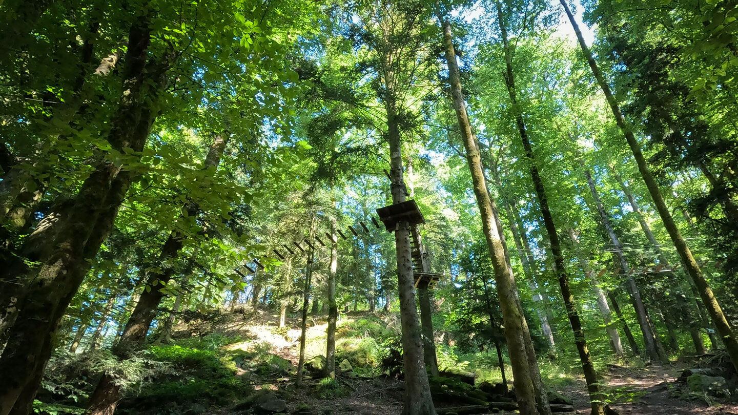 Abwechslung im Kletterpark Parc Arbre Aventure am Lac de Kruth-Wildenstein der Kletterpark Parc Arbre Aventure am Lac de Kruth-Wildenstein