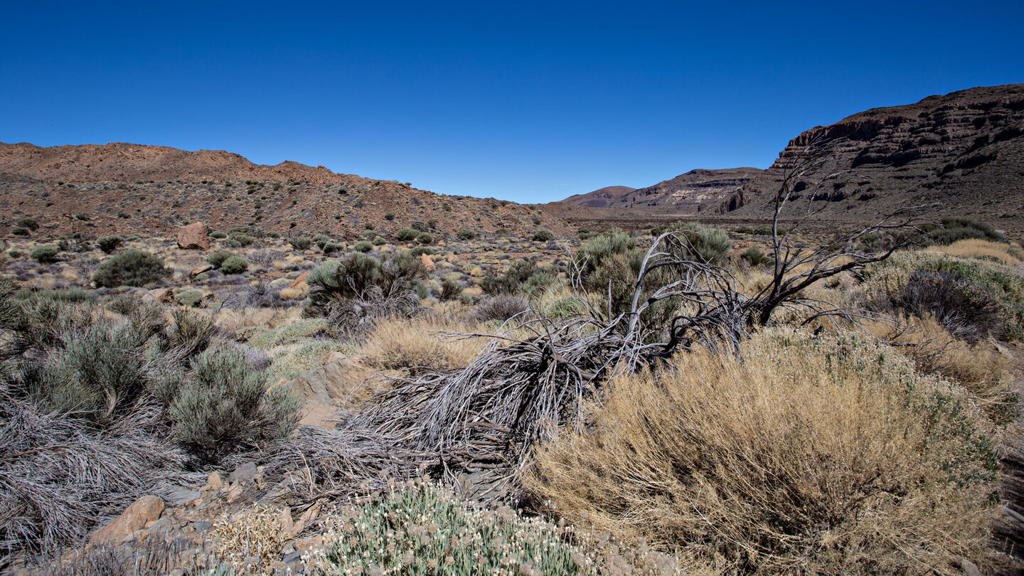 Cañada del Risco Verde im Teide-Nationalpark